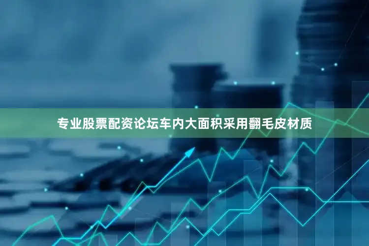 专业股票配资论坛车内大面积采用翻毛皮材质