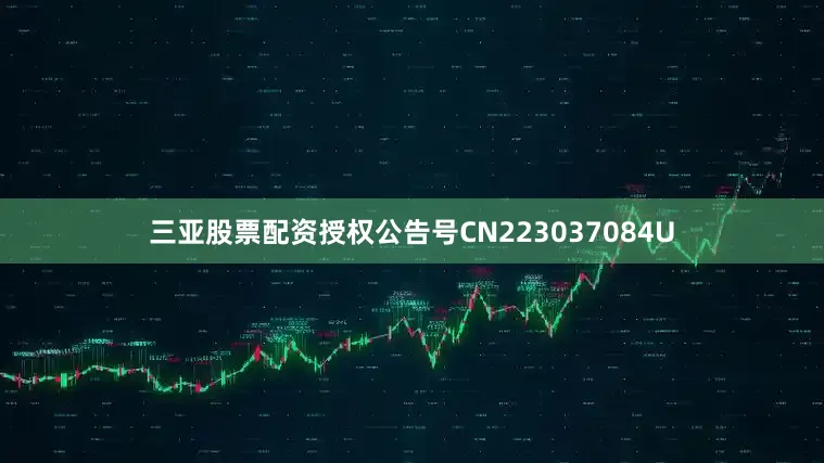 三亚股票配资授权公告号CN223037084U