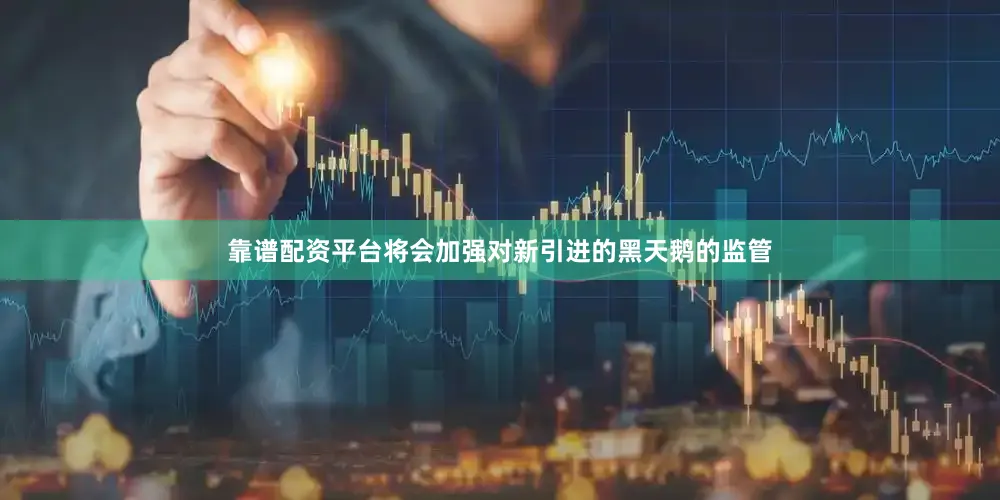靠谱配资平台将会加强对新引进的黑天鹅的监管