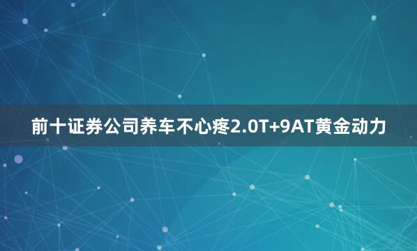 前十证券公司养车不心疼2.0T+9AT黄金动力