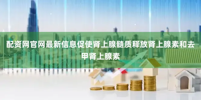 配资网官网最新信息促使肾上腺髓质释放肾上腺素和去甲肾上腺素